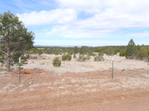 Side views on the GDMBR, Gila NF, NM.